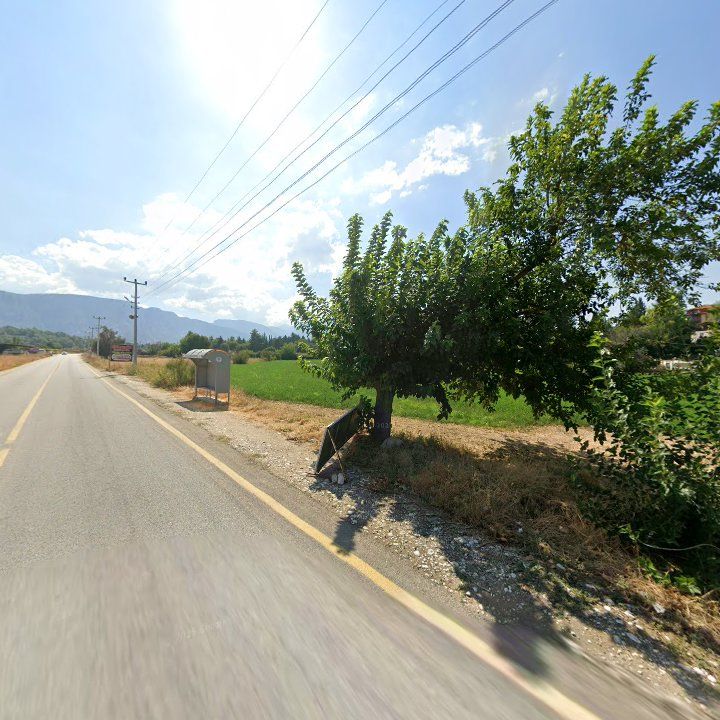 Fotoğraf 9