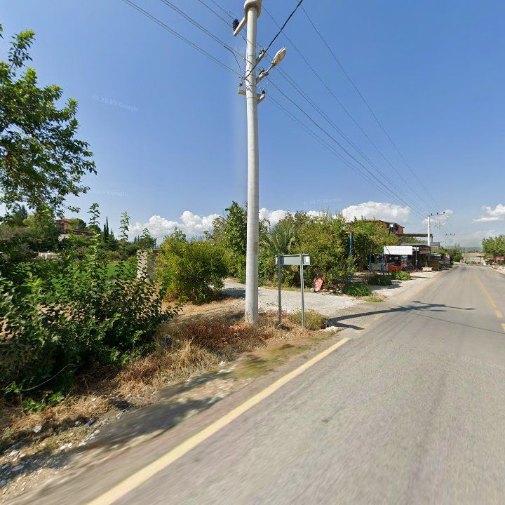 Fotoğraf 10