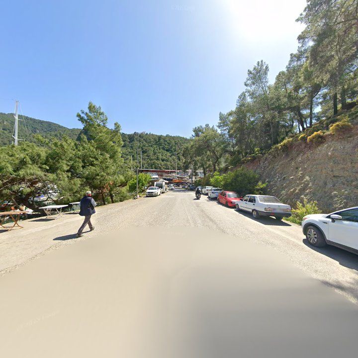 Fotoğraf 6