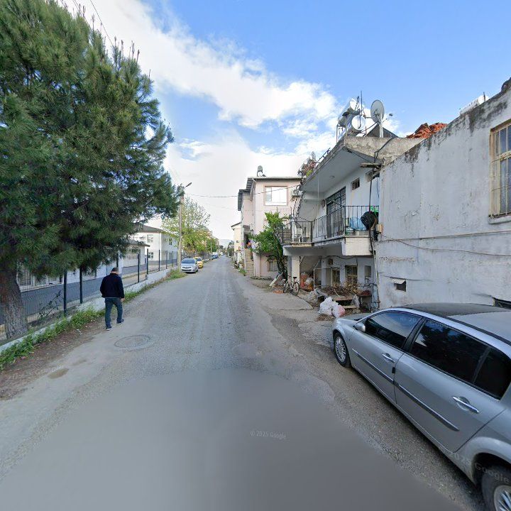 Fotoğraf 9