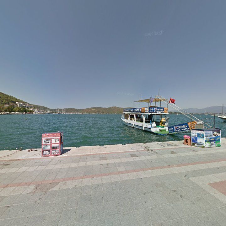 Fotoğraf 10