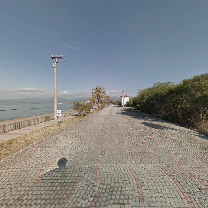 Fotoğraf 11