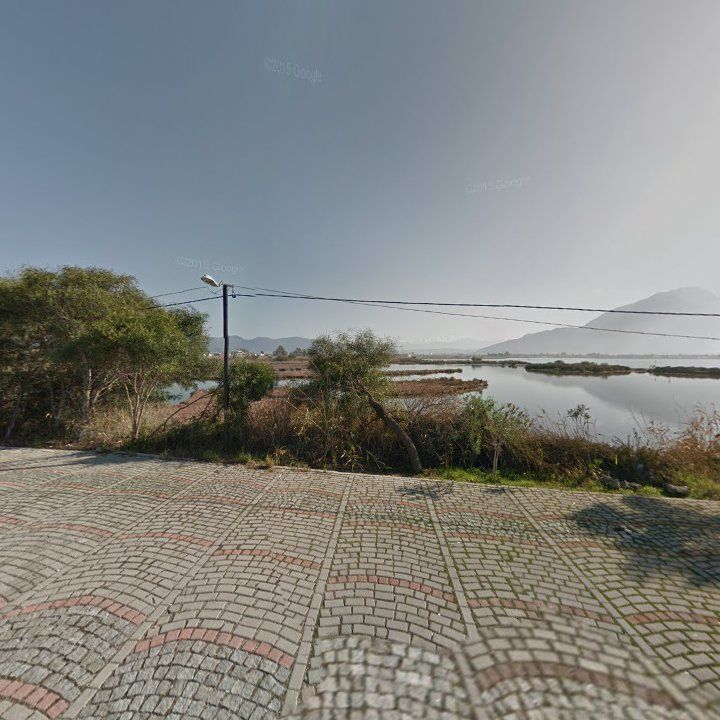 Fotoğraf 12