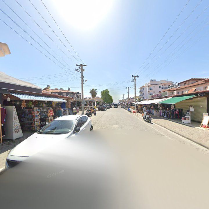 Fotoğraf 12