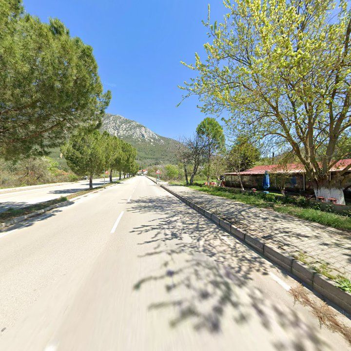 Fotoğraf 12