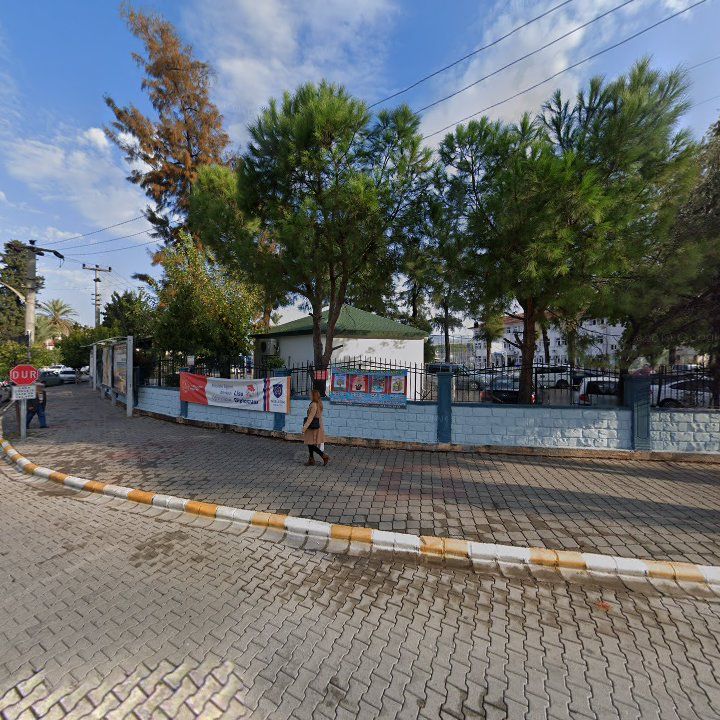 Fotoğraf 8