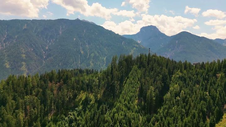 Fotoğraf 14