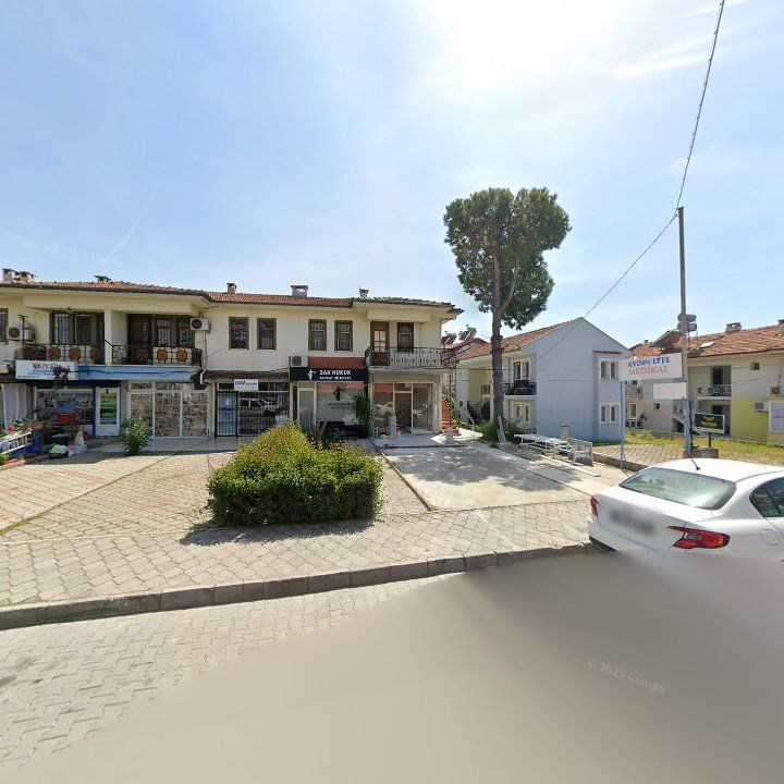 Fotoğraf 12