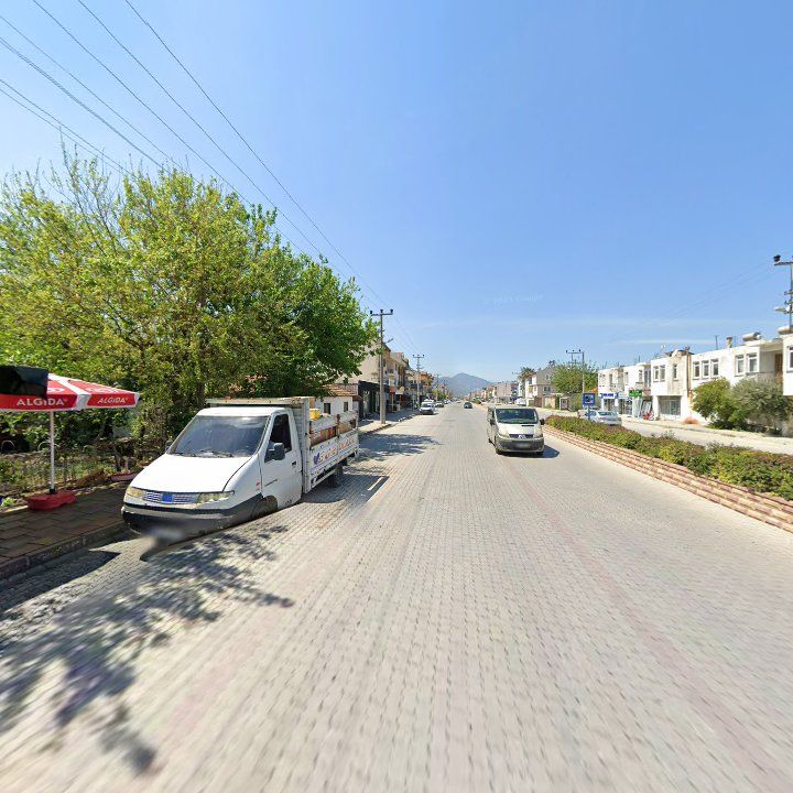 Fotoğraf 10