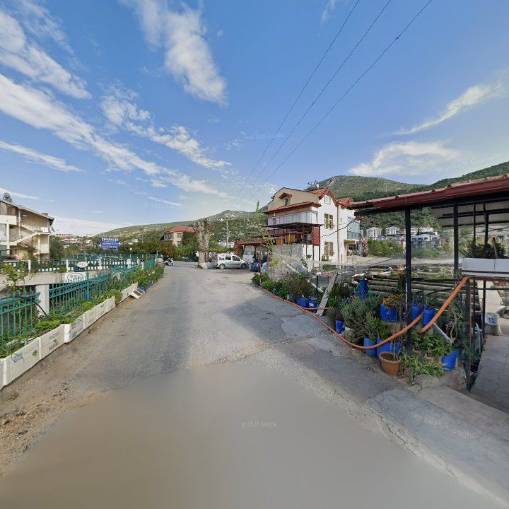 Fotoğraf 9