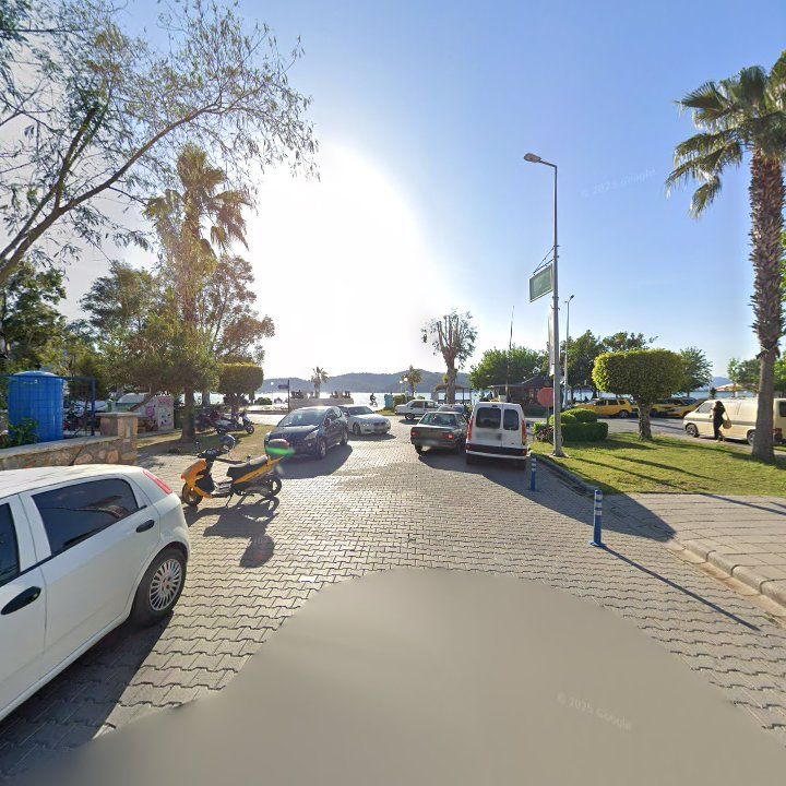 Fotoğraf 12