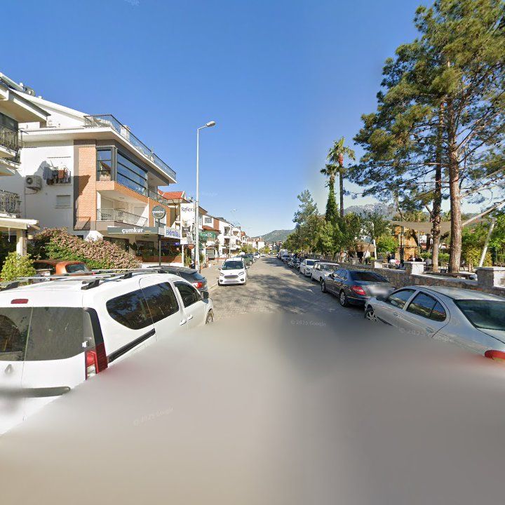 Fotoğraf 10