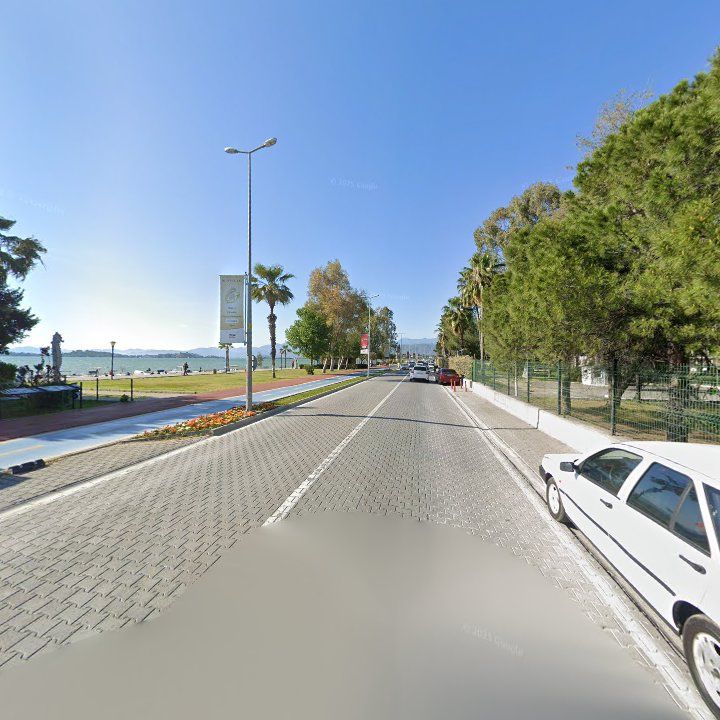 Fotoğraf 11