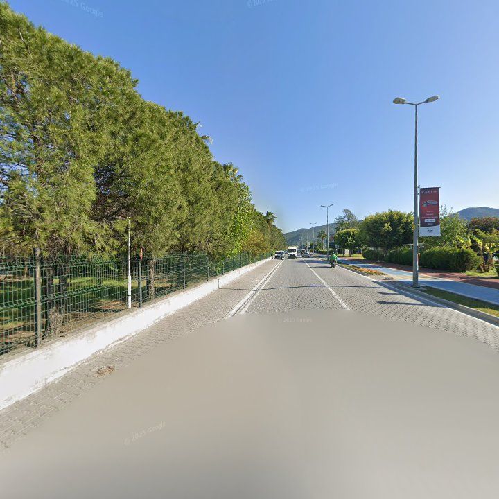 Fotoğraf 13