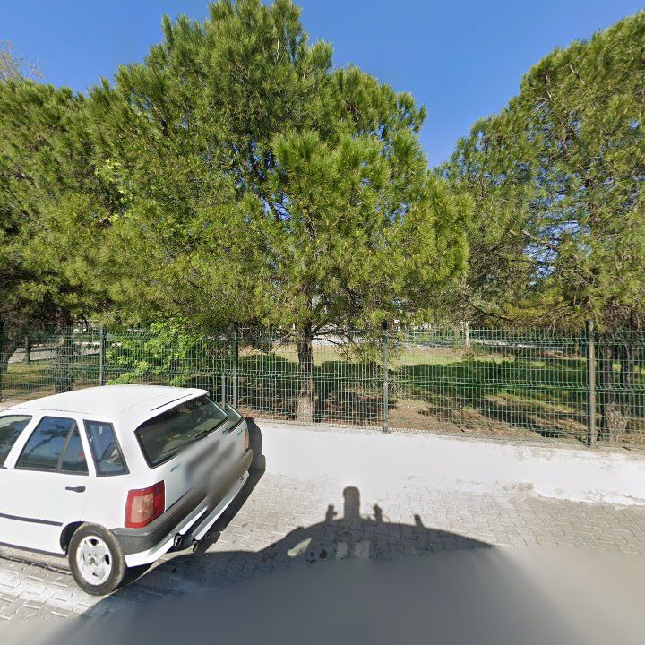 Fotoğraf 12