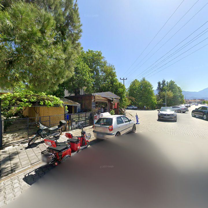 Fotoğraf 13