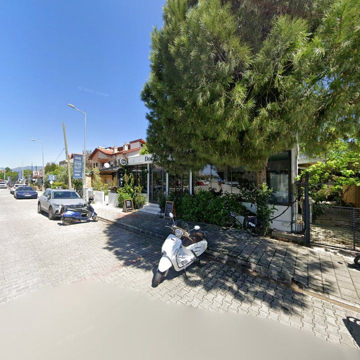Fotoğraf 12