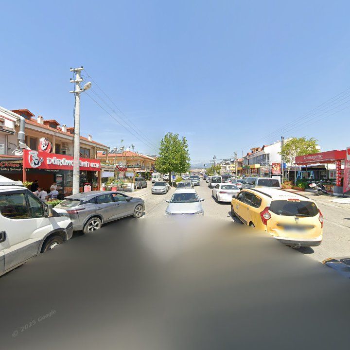 Fotoğraf 9
