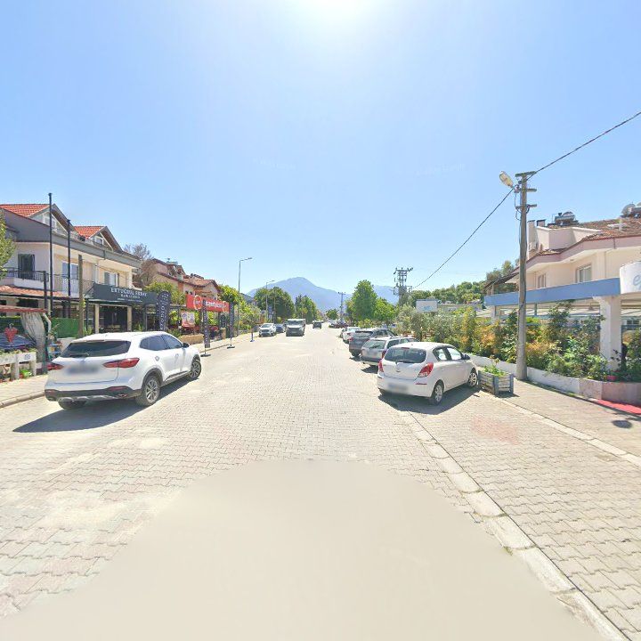 Fotoğraf 12