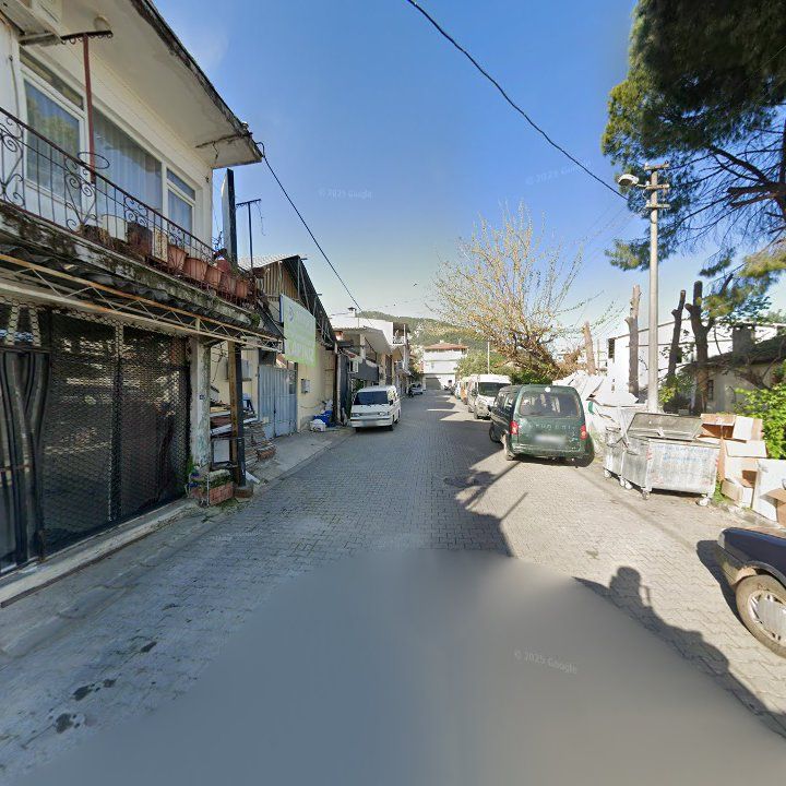 Fotoğraf 6