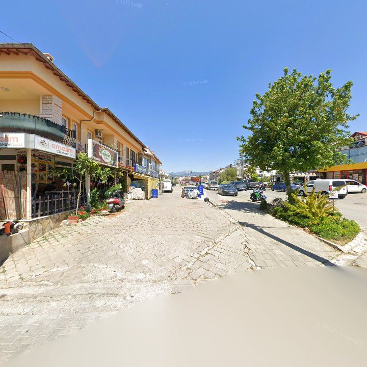 Fotoğraf 11
