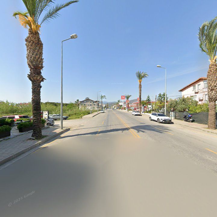 Fotoğraf 11