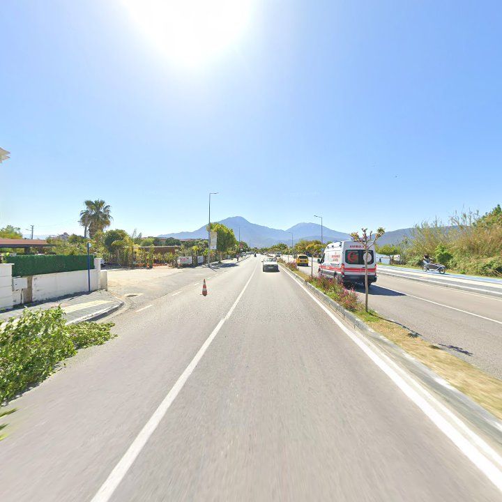 Fotoğraf 11