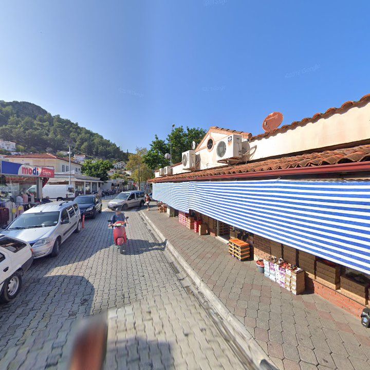 Fotoğraf 7