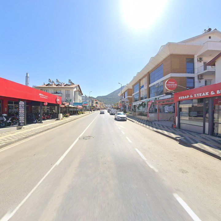 Fotoğraf 12