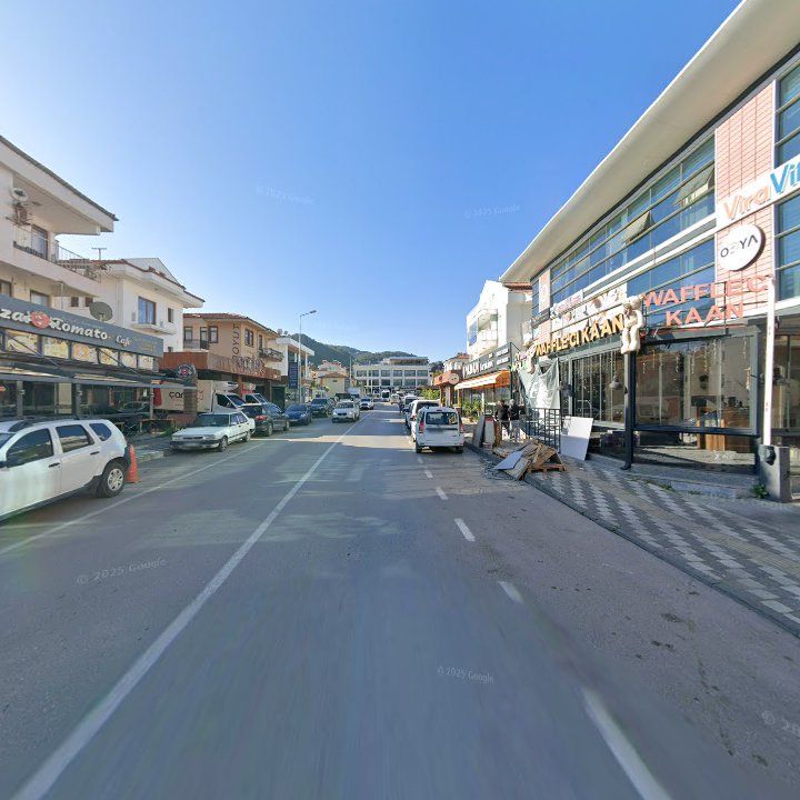 Fotoğraf 11
