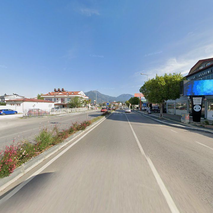 Fotoğraf 11