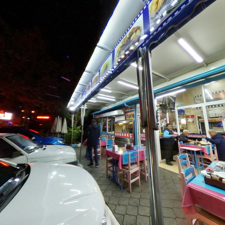 Fotoğraf 11