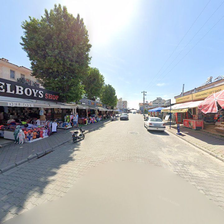 Fotoğraf 8