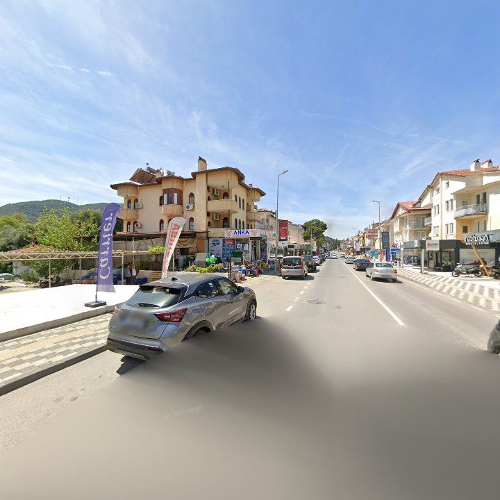 Fotoğraf 12