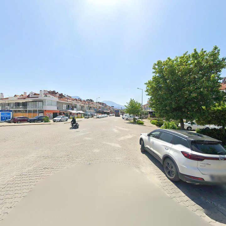 Fotoğraf 11