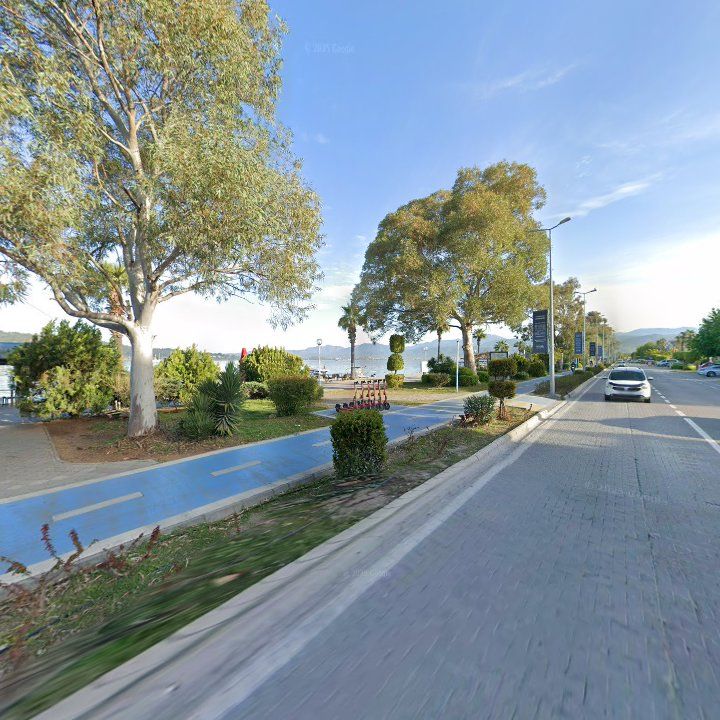Fotoğraf 11