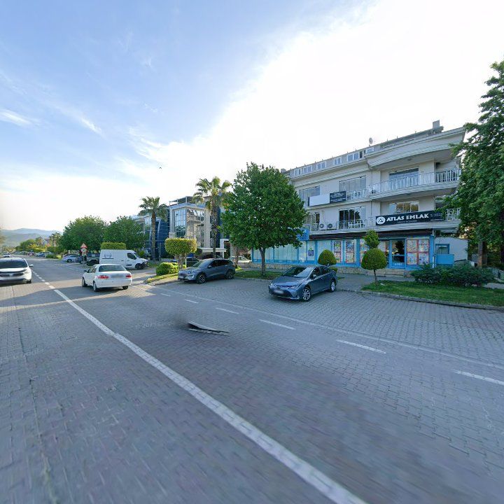 Fotoğraf 12