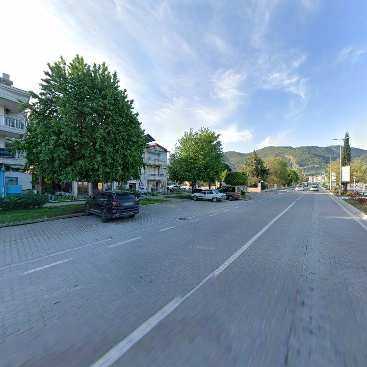 Fotoğraf 13