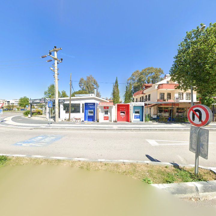 Fotoğraf 12