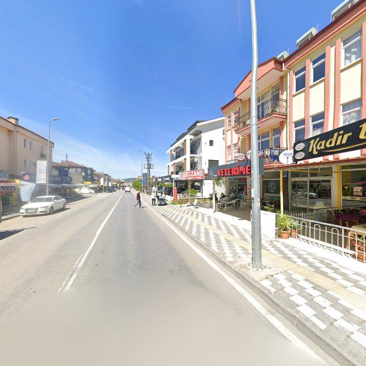 Fotoğraf 11