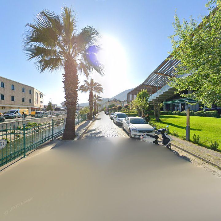 Fotoğraf 12