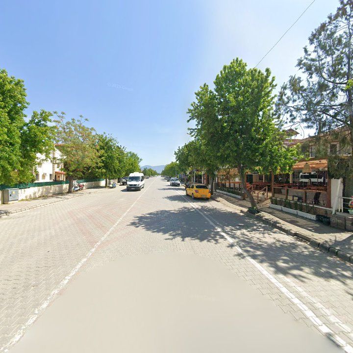 Fotoğraf 8