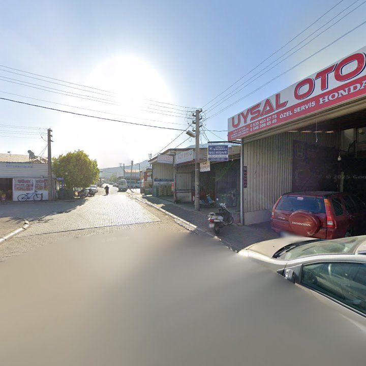 Fotoğraf 6