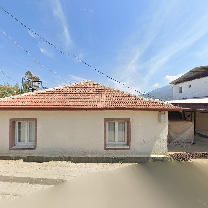 Fotoğraf 8