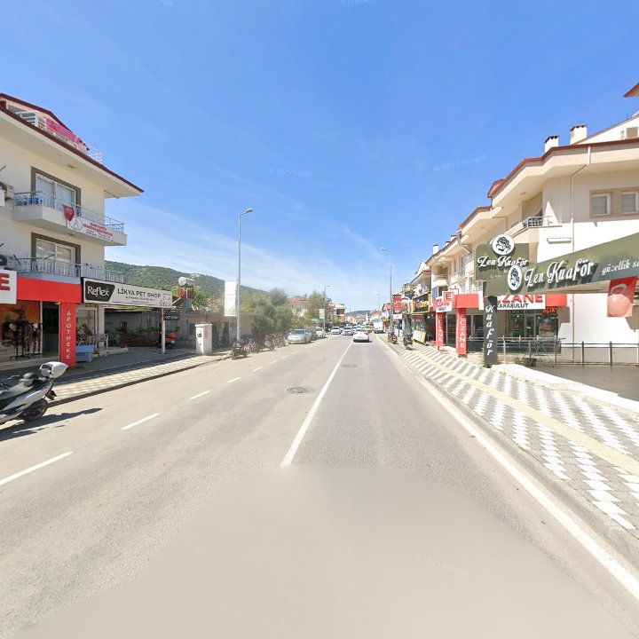 Fotoğraf 10