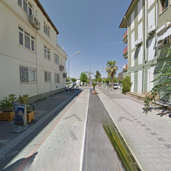 Fotoğraf 11