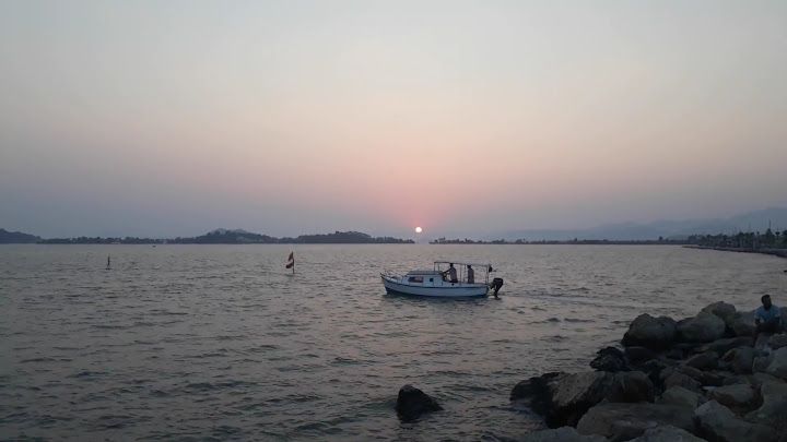 Fotoğraf 14