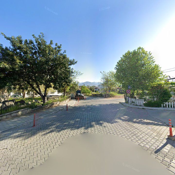 Fotoğraf 16