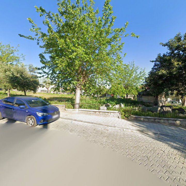 Fotoğraf 15