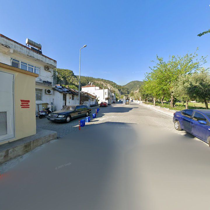 Fotoğraf 14
